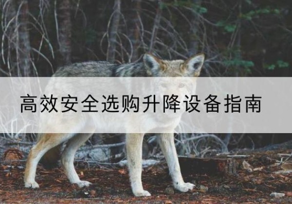 延长升降货梯厂家推荐-*安全选购升降设备指南
