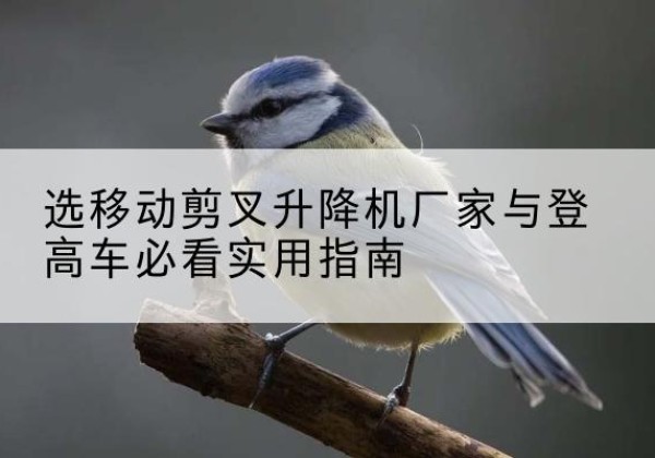 延长电动升降机厂家-选移动剪叉升降机厂家与登高车必看实用指南